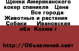 Щенки Американского кокер спаниеля › Цена ­ 15 000 - Все города Животные и растения » Собаки   . Ивановская обл.,Кохма г.